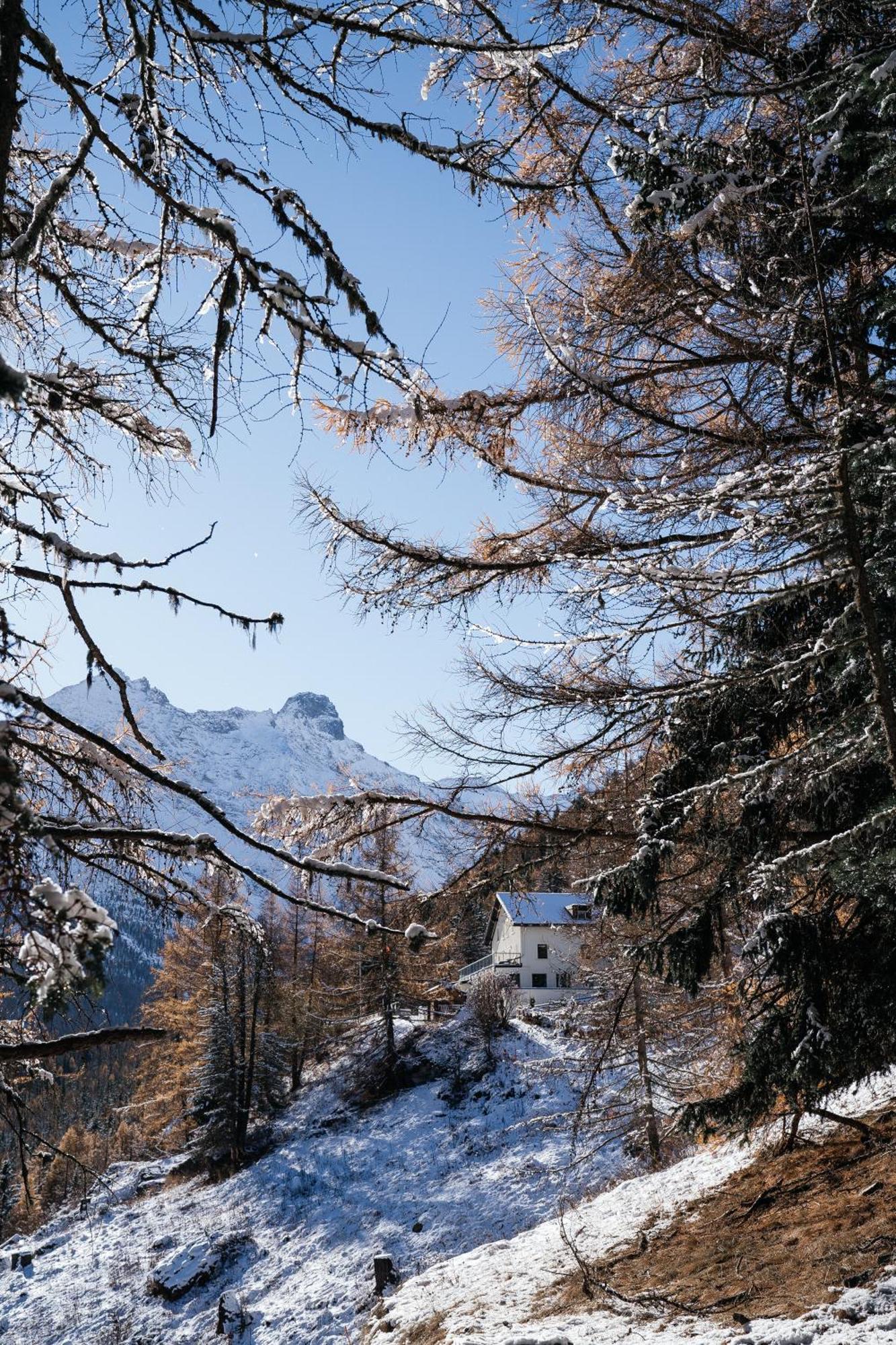 Waldhotel Fletschhorn Panoramic Retreat In Saas Fee מראה חיצוני תמונה