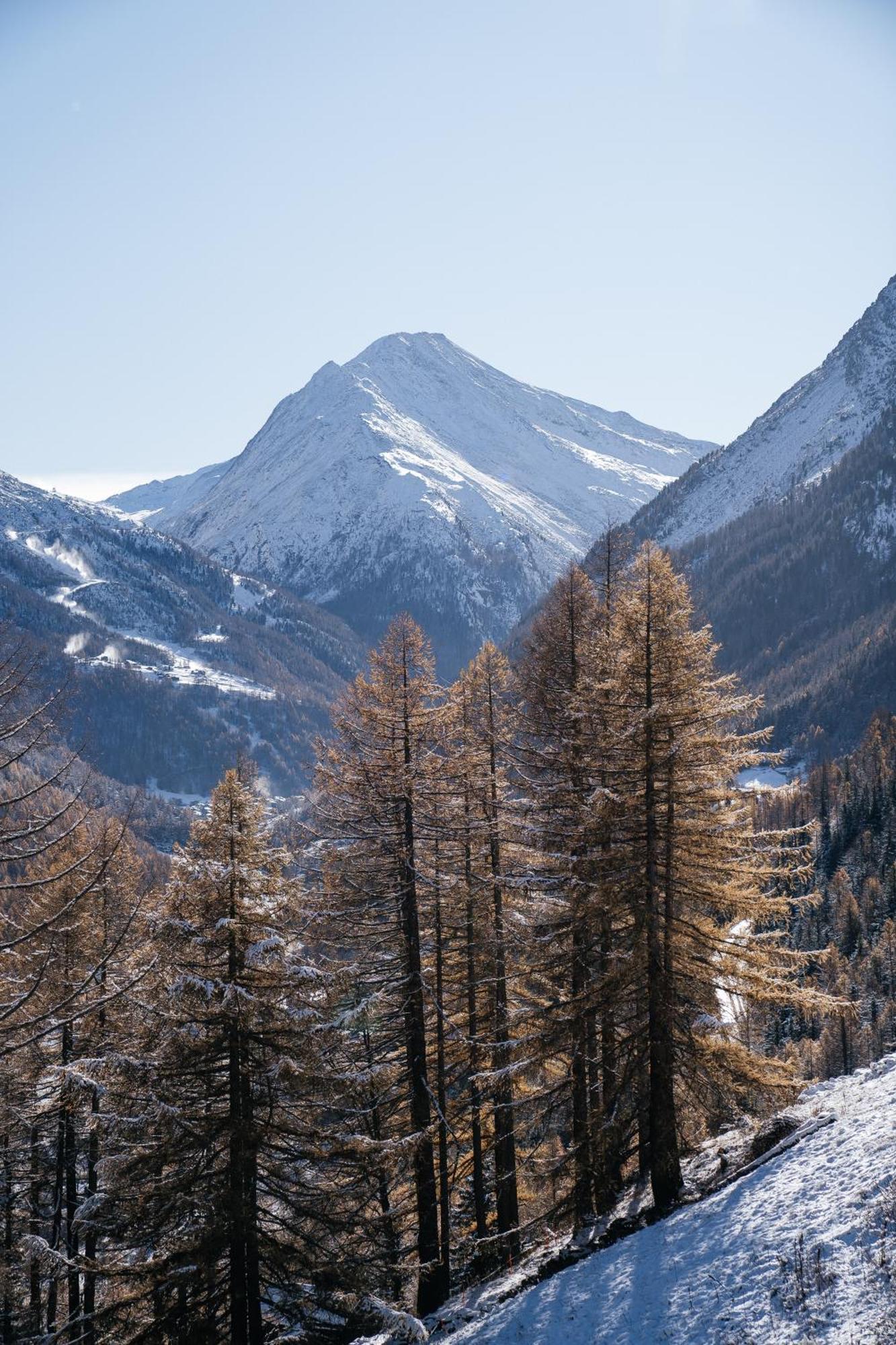 Waldhotel Fletschhorn Panoramic Retreat In Saas Fee מראה חיצוני תמונה