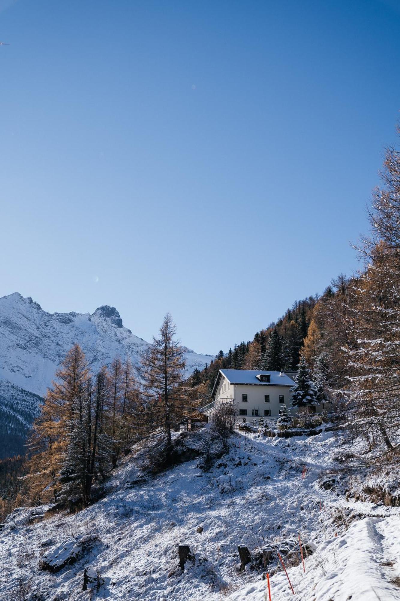 Waldhotel Fletschhorn Panoramic Retreat In Saas Fee מראה חיצוני תמונה